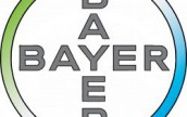 Bayer     