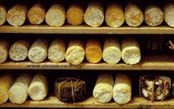 Производство сыров из козьего молока - израильские технологии.