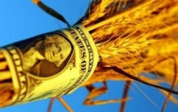 Украина в рейтинге стран-экспортеров пшеницы по версии USDA – февраль 2013 г.