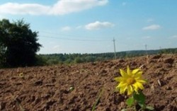 Землеустроители Украины зарегистрировали треть миллиона