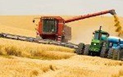 Украина ежегодно теряет до 10% урожая из-за недостатка техники для его уборки – эксперт