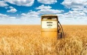 Украина изучит опыт США по развитию производства биотоплива