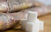 Украина на 1 июня т.г. использовала 0% импортной квоты на сахар-сырец из тростника