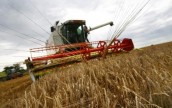 Украина: в Херсонской области ранние зерновые убраны с 51% площадей