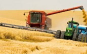 Украина планирует собрать 54 млн. т зерна