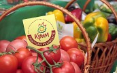 В Крыму снизились цены на 18 наименований продуктов питания