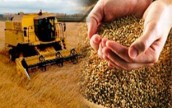 Аграрии рискуют потерять 10 млрд из-за налоговых нововведений