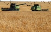 В Харьковской области на 5 августа намолочено 2,59 млн. тонн зерна