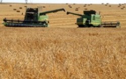 В Харьковской области на 5 августа намолочено 2,59 млн. тонн зерна