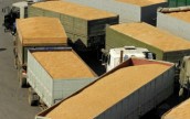 Украина может стать второй после США на мировом рынке зерна