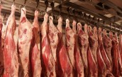 В Украине изъяли почти 10 тонн некачественной животноводческой продукции