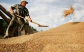 Украина частично запретила импорт российского зерна