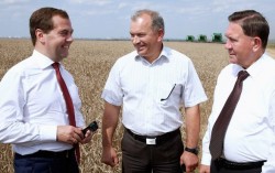 В процессе регулирования цен на новый урожай свою роль должно сыграть государство