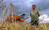 Неурегулированность вопроса с ценой на зерно съедает 10-60% рентабельности выращенной пшеницы, ячменя, кукурузы и рапса