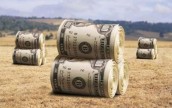 Почему инвесторы не вкладывают в аграрный сектор Украины