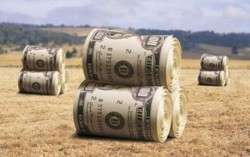 Почему инвесторы не вкладывают в аграрный сектор Украины