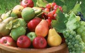 «Зеленые» рынки накормят украинцев свежей продукцией