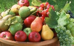 «Зеленые» рынки накормят украинцев свежей продукцией
