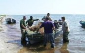 Ассоциация рыболовов предлагает повысить штрафы за браконьерство до 7,5 тыс. грн.