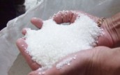 В Украине стартует сезон сахароварения