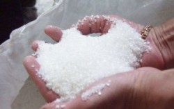 В Украине стартует сезон сахароварения