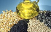 В Украине прогнозируют значительное увеличение урожая сои и рапса
