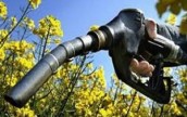Украина будет поставлять сырье для биотоплива в ЕС