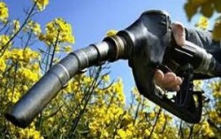Украина будет поставлять сырье для биотоплива в ЕС