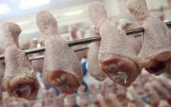 Украина накормит курятиной весь Китай