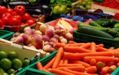 Украина за 8 месяцев экспортировала сельхозпродукции на 10 млрд