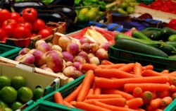 Украина за 8 месяцев экспортировала сельхозпродукции на 10 млрд