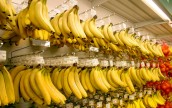 Украина импортировала рекордный объем бананов