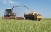 Аграрный сектор Украины будут развивать по новой Стратегии