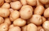 Почему украинский картофель подорожал на 300%