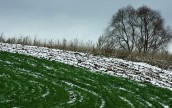 Погода не препятствует нормальной зимовке озимых в Украине