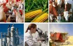 Украина повысила стандарты безопасности пищевой продукции