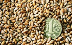 Налоговые льготы для аграриев сохранят, несмотря на требование МВФ