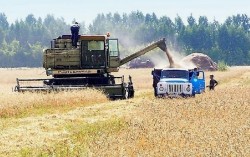 Украина по итогам I полугодия 2013/14 МГ экспортирует около 16 млн. тонн зерна