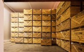 Овоще- и фруктохранилища в Украине в среднем заполнены на 77%