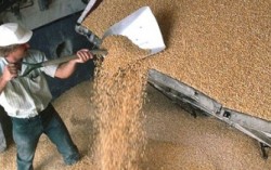 Ж/Д Украины в ноябре увеличила ежесуточную погрузку зерна на 50%