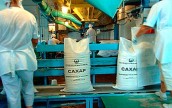 Производство сахара в Украине сократилось на 44%