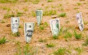 Что мешает Украине стать мировым аграрным лидером