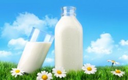 Рынок ТС пока что незаменим для украинского экспорта молочной и мясной продукции