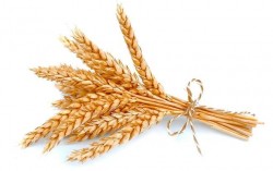 Украина все-таки создаст зерновой пул с Россией и Казахстаном