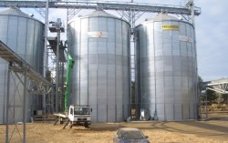 В Украине зерноскладов хватит только на половину урожая