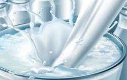 Хозяйства Винничины произвели более 800 тыс. тонн молока