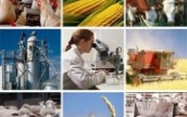 Часть украинских агропредприятий работает незаконно