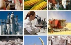 Часть украинских агропредприятий работает незаконно