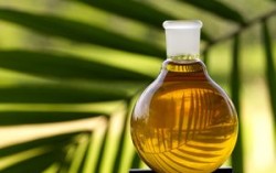 Переработка тропических масел в Одесской области