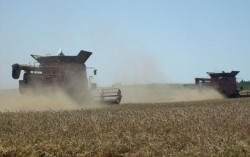 В 2013 году в Украине введено в эксплуатацию 92 предприятия АПК